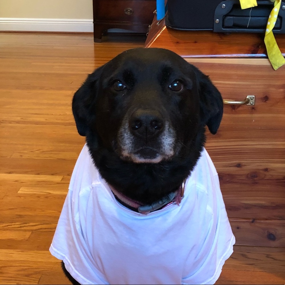 Meet your Posher, Robbie